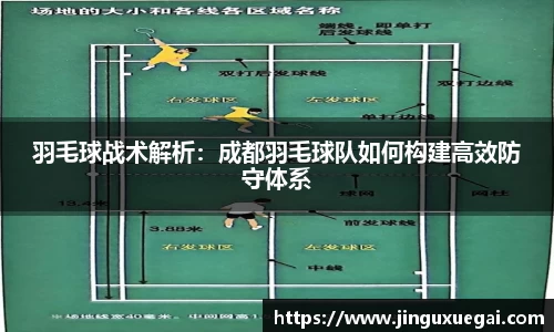 羽毛球战术解析：成都羽毛球队如何构建高效防守体系